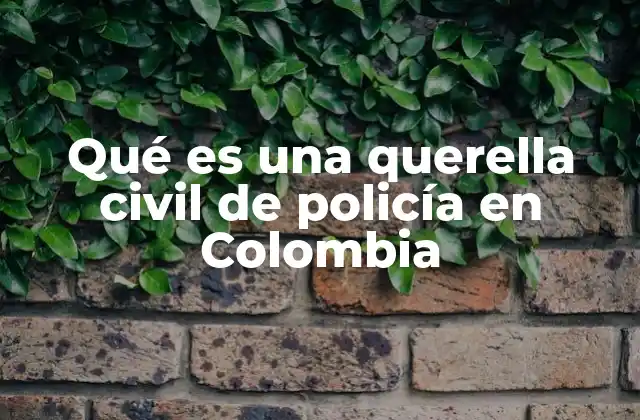 Qué es una Querella Civil de Policía en Colombia