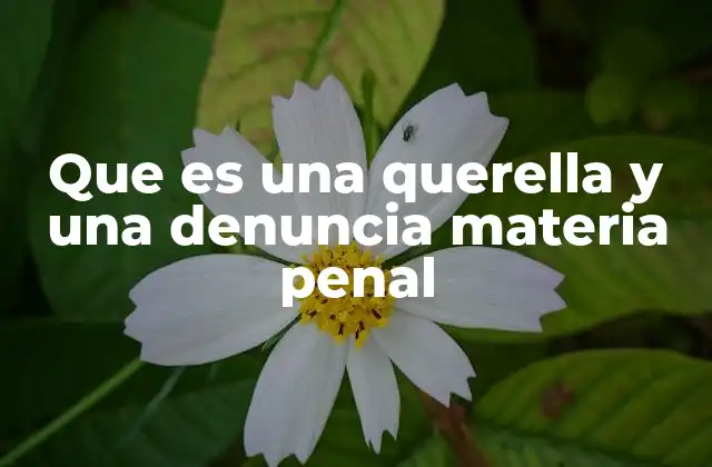 Que es una Querella y una Denuncia Materia Penal