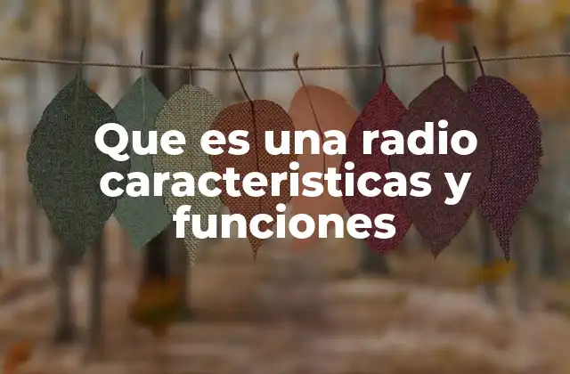 Que es una Radio Caracteristicas y Funciones