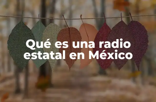 Qué es una Radio Estatal en México