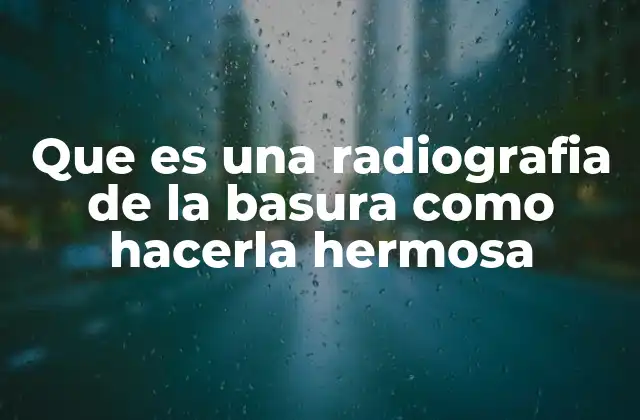 Que es una Radiografia de la Basura como Hacerla Hermosa