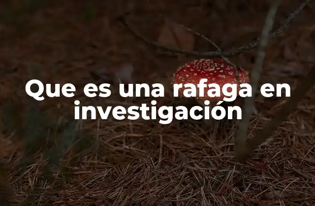Que es una Rafaga en Investigación