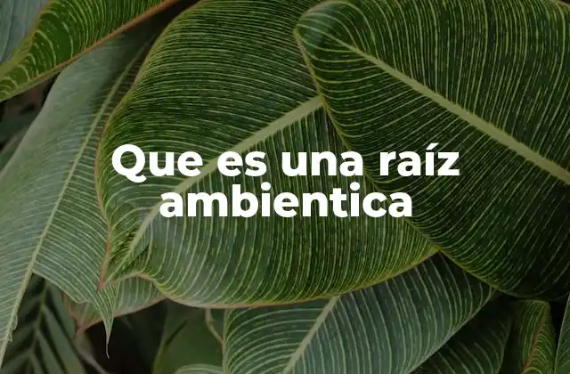 Que es una Raíz Ambientica