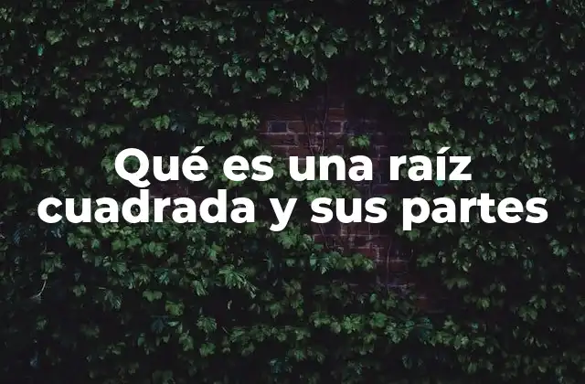 Qué es una Raíz Cuadrada y Sus Partes
