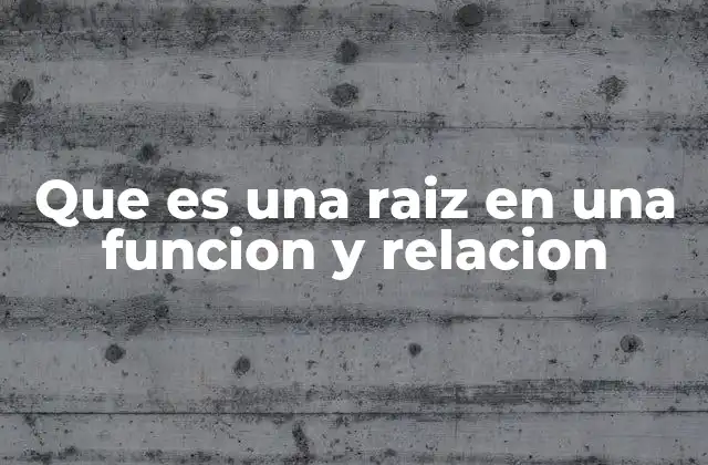 Que es una Raiz en una Funcion y Relacion