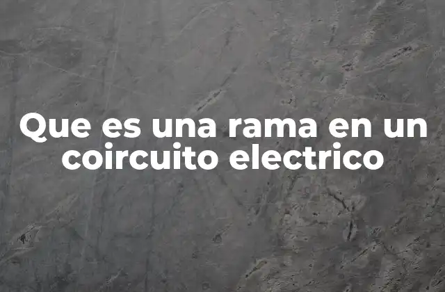 La importancia de las ramas en la estructura de un circuito eléctrico