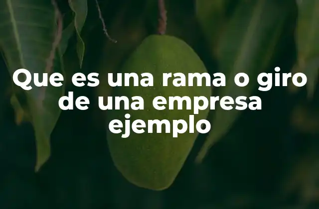 Que es una Rama o Giro de una Empresa Ejemplo