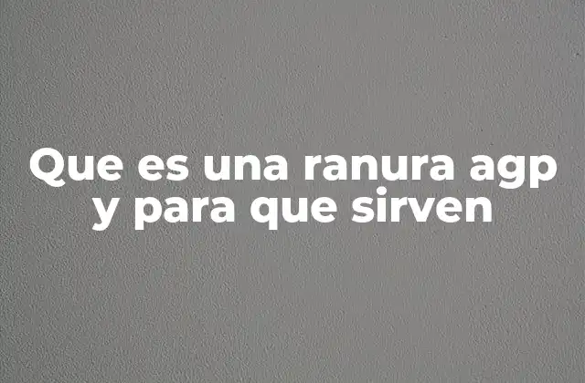 Que es una Ranura Agp y para que Sirven