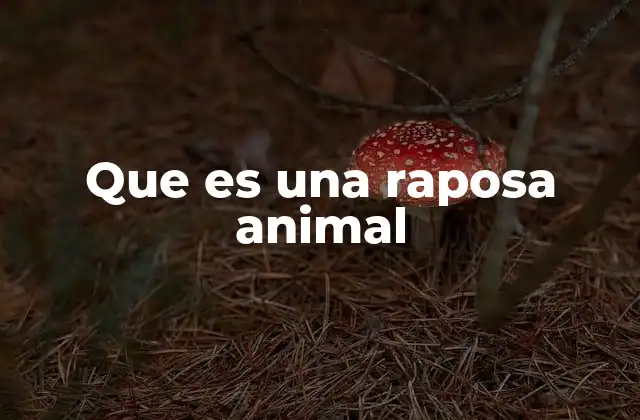 Que es una Raposa Animal