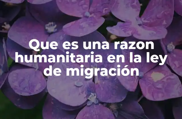 Que es una Razon Humanitaria en la Ley de Migración