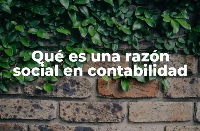 Qué es una Razón Social en Contabilidad