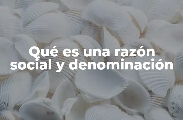 Qué es una Razón Social y Denominación