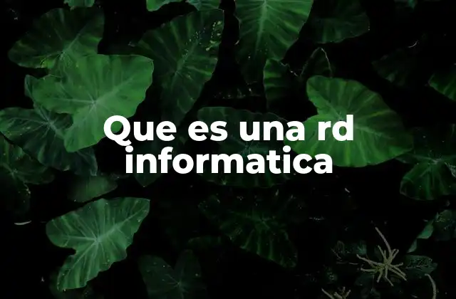 Que es una Rd Informatica