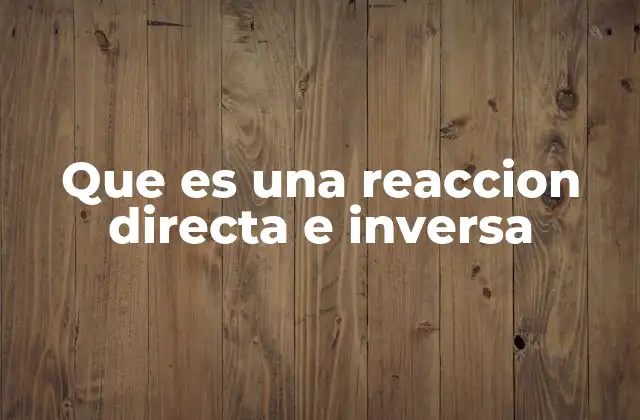 Que es una Reaccion Directa e Inversa 2 El papel de las reacciones químicas en el equilibrio dinámico