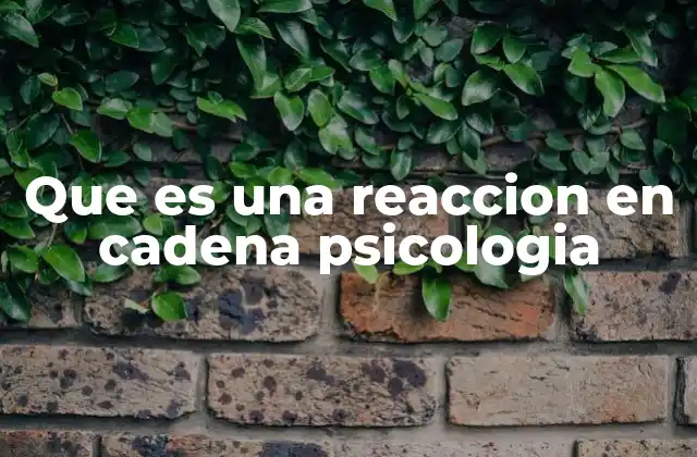 Que es una Reaccion en Cadena Psicologia