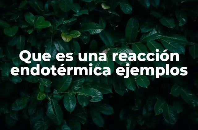 Las reacciones que absorben calor y su impacto en la energía
