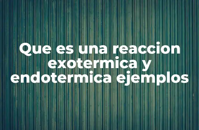 Que es una Reaccion Exotermica y Endotermica Ejemplos