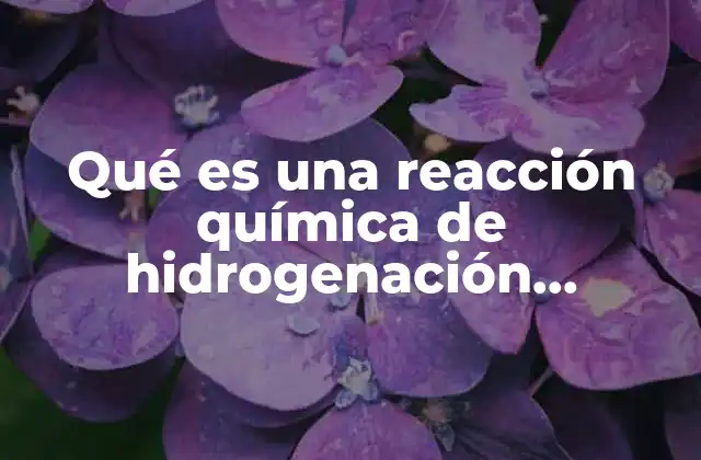 Qué es una Reacción Química de Hidrogenación Ejemplos
