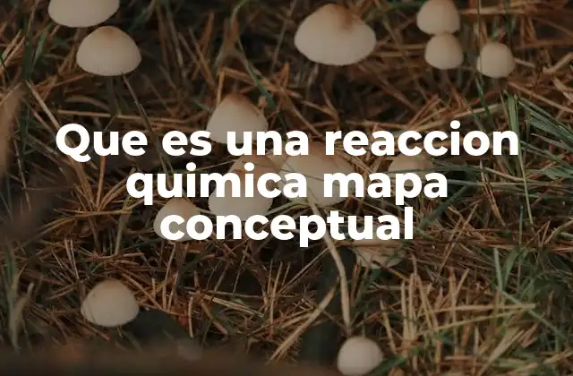 Que es una Reaccion Quimica Mapa Conceptual