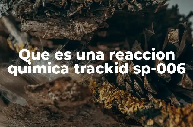 Que es una Reaccion Quimica Trackid Sp-006