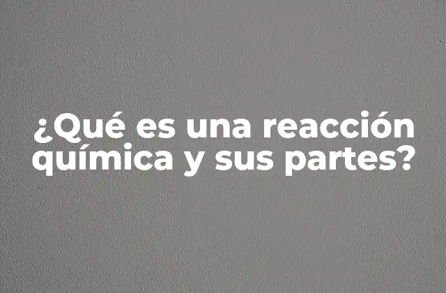 Componentes esenciales de una reacción química