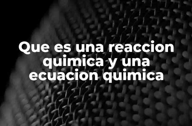 Que es una Reaccion Quimica y una Ecuacion Quimica