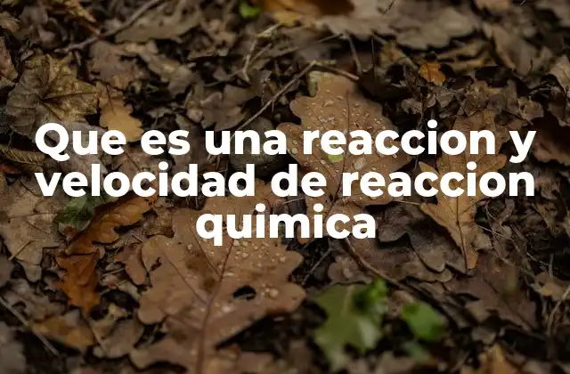 Que es una Reaccion y Velocidad de Reaccion Quimica