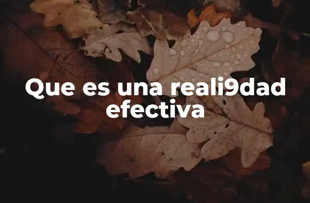 Que es una Reali9dad Efectiva