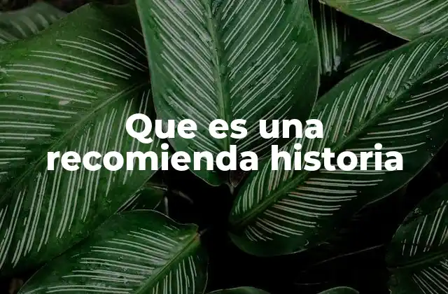 Que es una Recomienda Historia