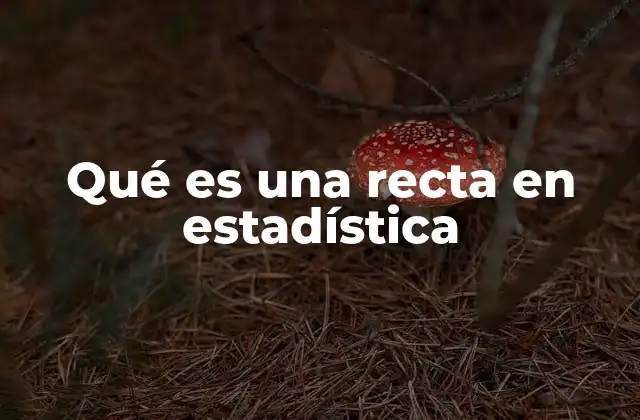 Qué es una Recta en Estadística