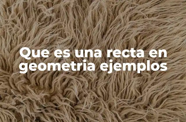 Que es una Recta en Geometria Ejemplos