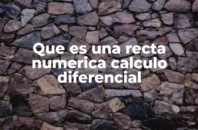 Que es una Recta Numerica Calculo Diferencial
