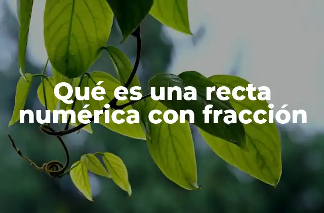 Qué es una Recta Numérica con Fracción