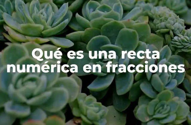 Qué es una Recta Numérica en Fracciones