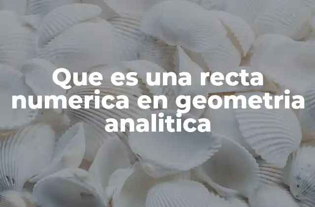 Que es una Recta Numerica en Geometria Analitica