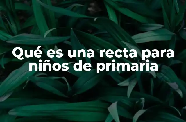 Qué es una Recta para Niños de Primaria