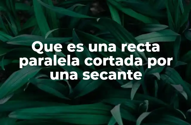 Que es una Recta Paralela Cortada por una Secante