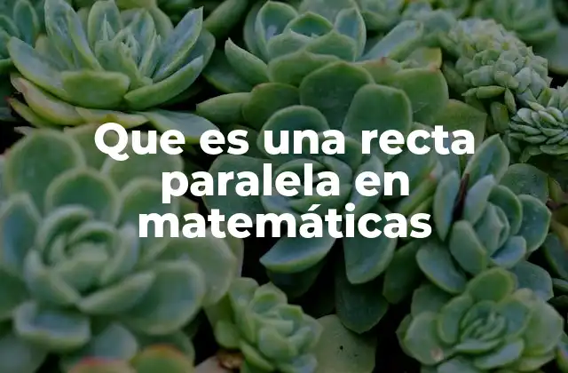 Que es una Recta Paralela en Matemáticas 2 Las características de las rectas paralelas y su importancia en geometría