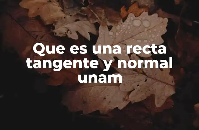 Que es una Recta Tangente y Normal Unam 2 La importancia de las rectas tangente y normal en el cálculo