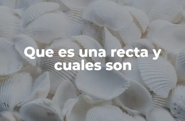 Que es una Recta y Cuales Son