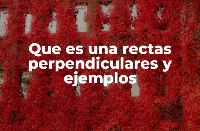 Rectas que se cruzan y su importancia en geometría