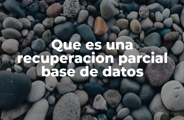 Que es una Recuperacion Parcial Base de Datos