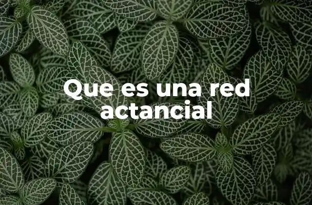 Que es una Red Actancial