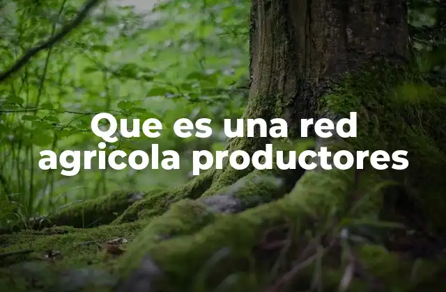 La importancia de la colaboración en el campo