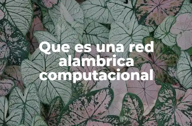 Que es una Red Alambrica Computacional