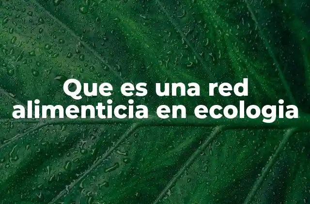 Que es una Red Alimenticia en Ecologia