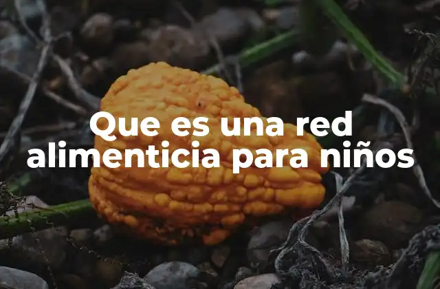 Que es una Red Alimenticia para Niños