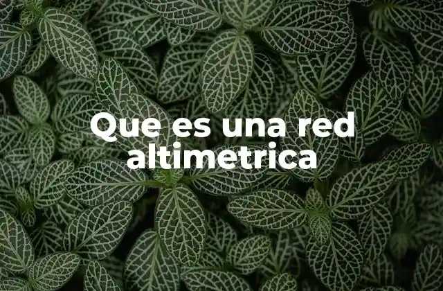 Que es una Red Altimetrica