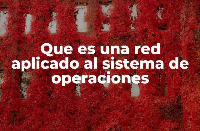Que es una Red Aplicado Al Sistema de Operaciones