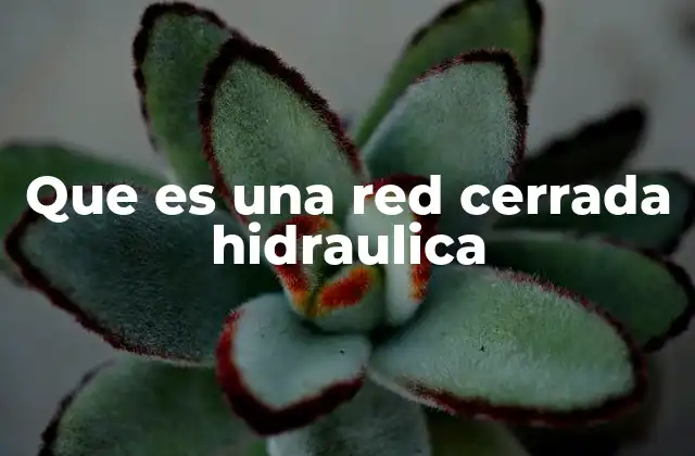 Que es una Red Cerrada Hidraulica